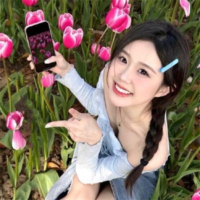 冒牌特工